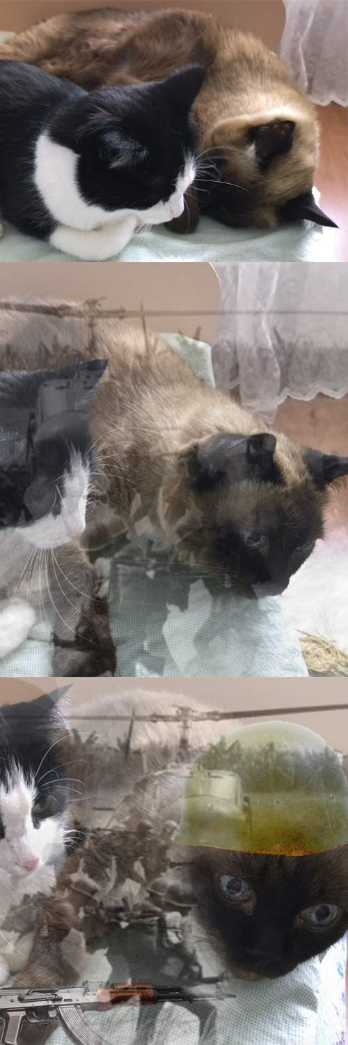 Старые раны