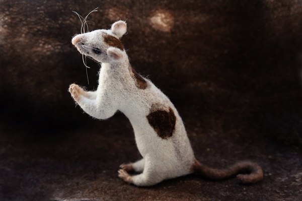 Wool rat Glafira - My, , Dry felting, Rat, , Creation, Author's toy, Longpost