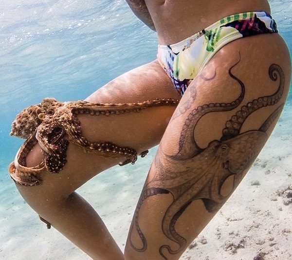 Octopus - NSFW, Octopus, Tattoo, Girls, View from the outside