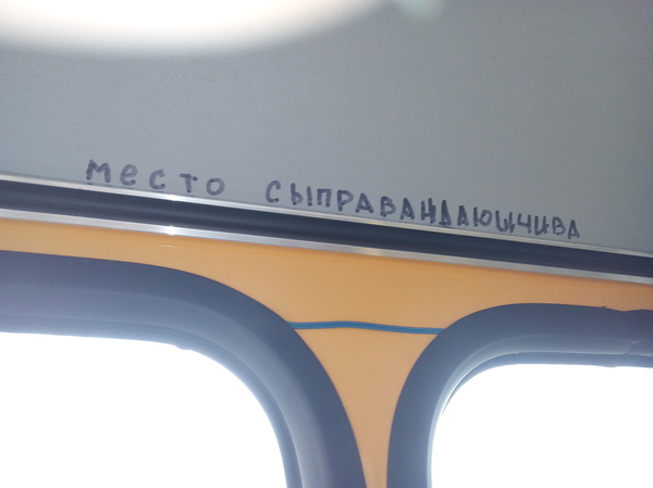 Слишком сложное слово... Тотальный диктант нужен каждому! - Моё, Гуманитарий, Почти ослепла