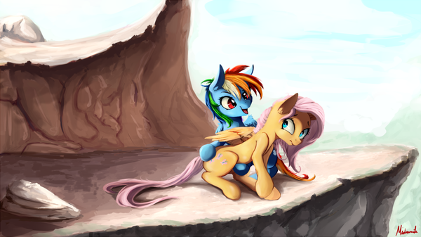        My Little Pony, Rainbow Dash, Fluttershy