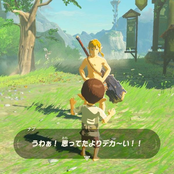      !!! The Legend of Zelda, Link, , 