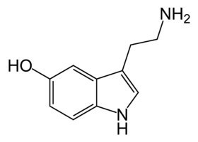 Serotonin landing - My, Poems, , Serotonin