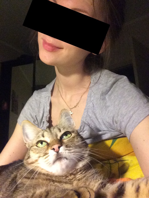 When even the cat is tired of your selfies - My, cat, Animals, Humor, A life