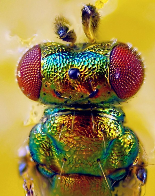 Привет я разморозилась и уже гуляю по твоему бутеру!