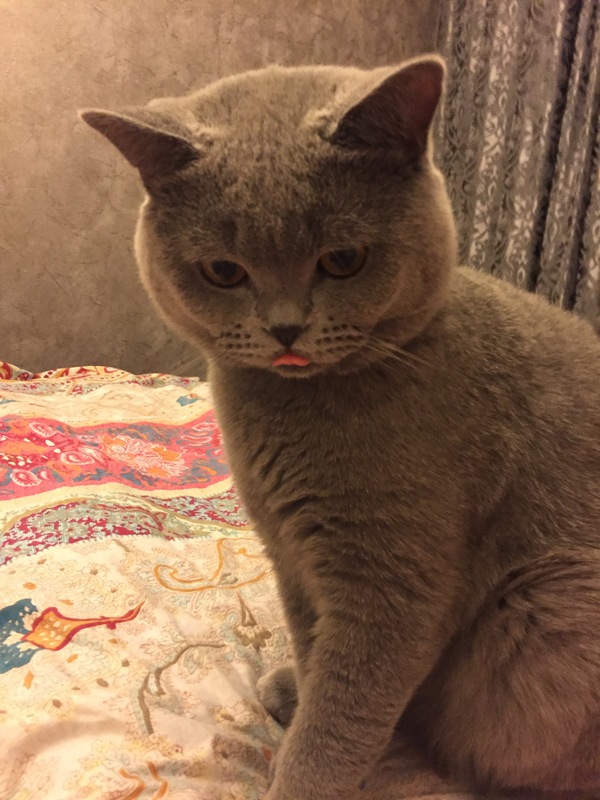 ����� ������!