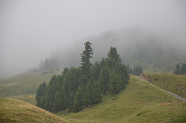 Storm in Turgen. - Children's camp, Element, Wind, Kazakhstan, Rain, My, Longpost, Expedition