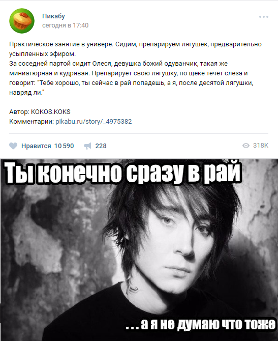 Just a little joke - My, Frogs, Zemfira