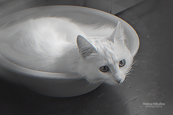 ����� - ��� ������� ���� ��� ��������?:)