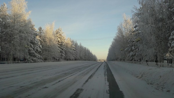 Winter photo - Winter, The photo, My, Road