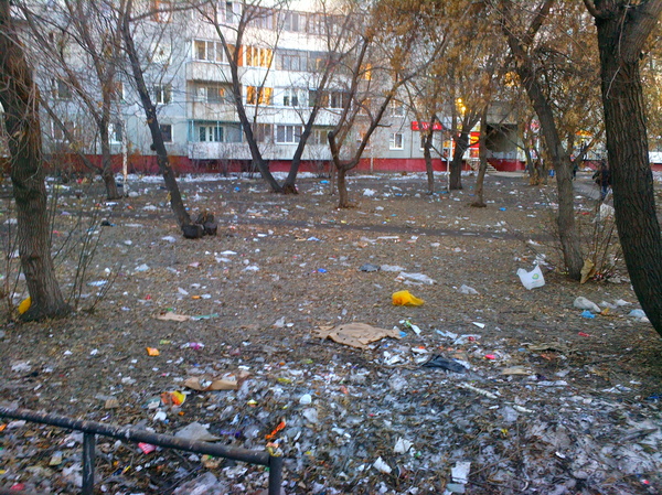Was it raining in the form of garbage in Omsk? - My, Omsk, , Housing and communal services, Kindness, Saturday clean-up, Garbage, Spring, Longpost