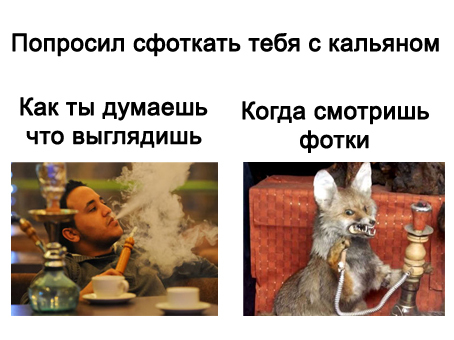 Ожидание и реальность