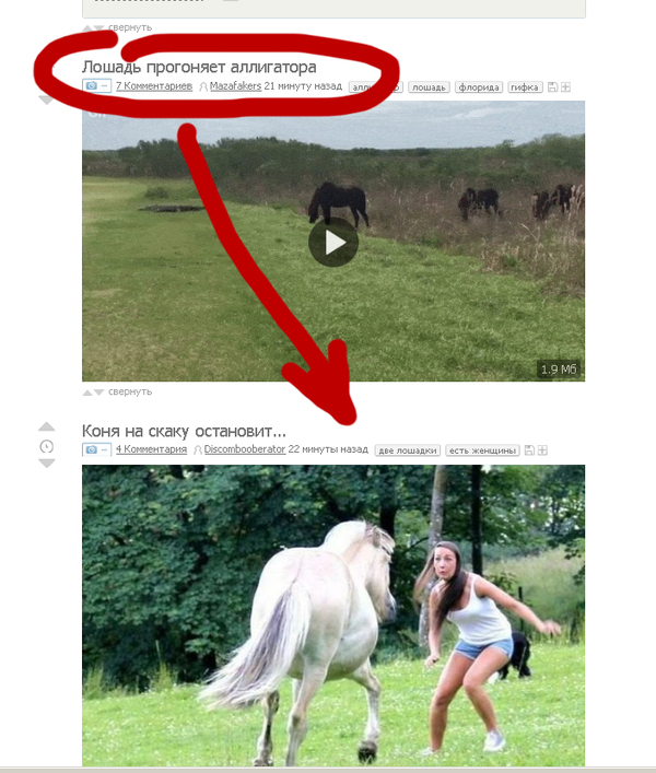 Looks like you missed the title. - Heading, Matching posts, Horses, Peekaboo, Coincidence, Screenshot