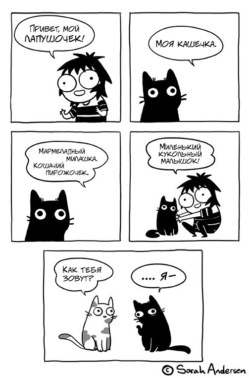 Daub time - Daub time, Sarah Andersen, cat, Comics