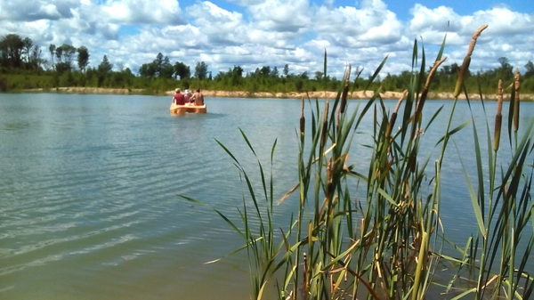 Piece of summer. very soon - My, Summer, Lake, Catamaran, Reeds, The sun, Amur region, Talakan