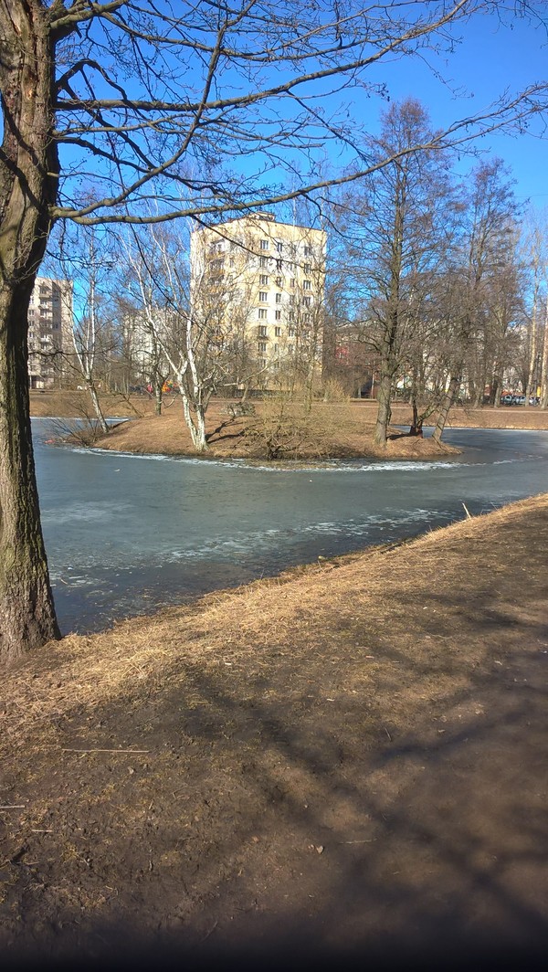 Uninhabited island - My, Uninhabited island, Saint Petersburg, hut