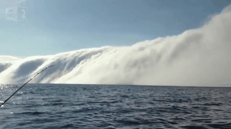 Туманное цунами Природа, Цунами, Туман, Красота, Гифка