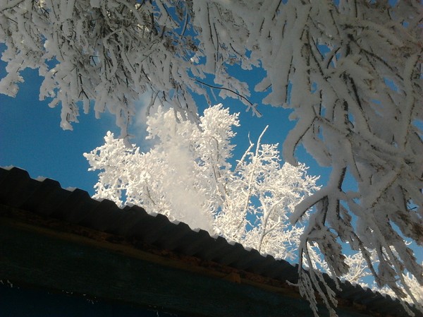 winter post - My, Winter, Sky, Frost
