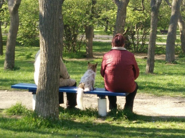 Ladies with a dog - My, The park, Dog, Girls