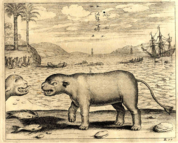 Когда у тебя два кота и один все время получает от другого