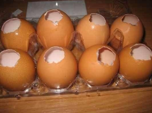 Jellied eggs - amazing recipes for the Easter table. - Recipe, Cooking, Longpost, Easter