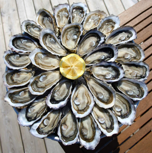 From Brittany with love. - Longpost, Text, For an amateur, Oysters, Food, Brittany, France, My