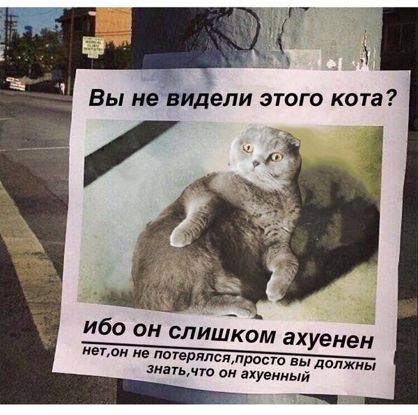 �������� ���