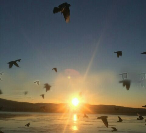 Spring - My, Spring, Дальний Восток, dawn