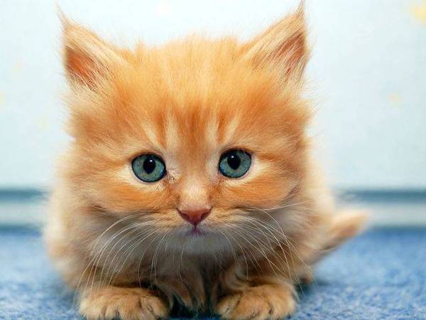 А чего-то вы тут делаете, а?