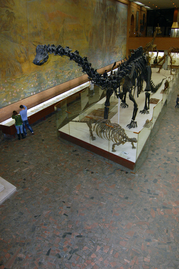 Museum of Paleontology in Moscow - My, Museum of Paleontology, Moscow, , Longpost