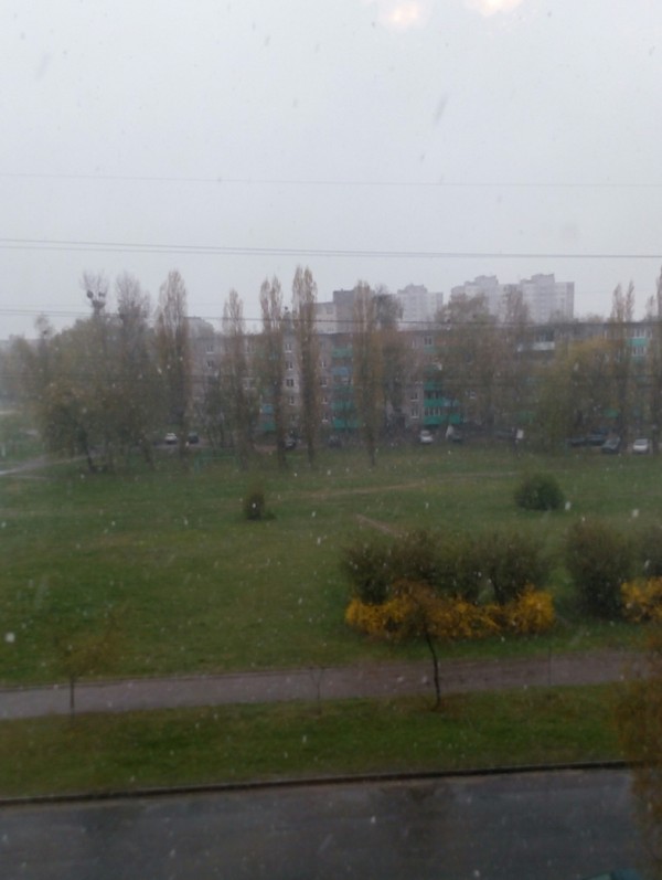 16 April. Belarus. Snow. - April, , The photo, Go home