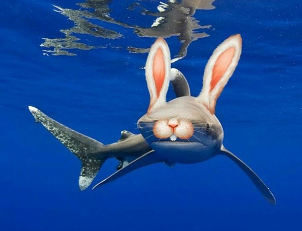 �� ���� �� ������ ��� �� ������� ����� � ����?