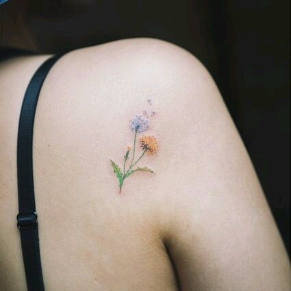 Delicate and feminine botanical tattoos. - Tattoo, A selection, Flowers, Longpost