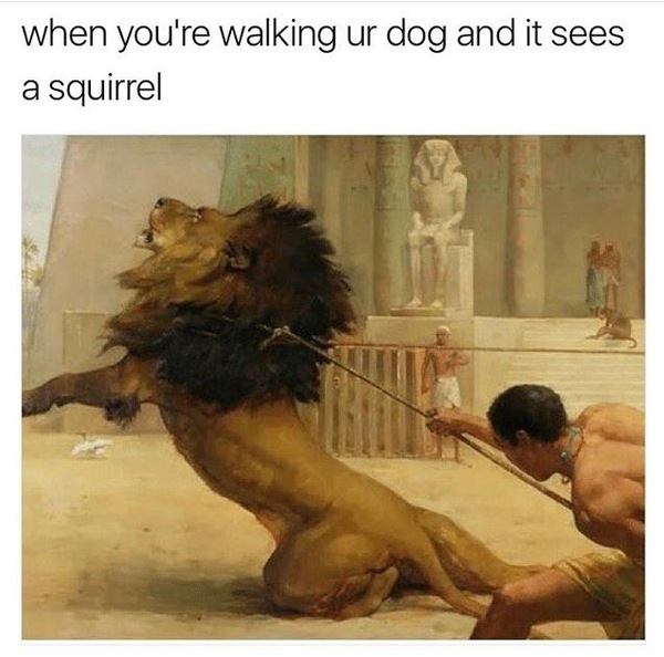 When you're walking your dog and he sees a squirrel. - Dog, Friend, Person, Pets, , Does not bite