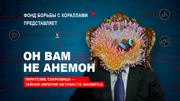 ОН ВАМ НЕ АНЕМОН