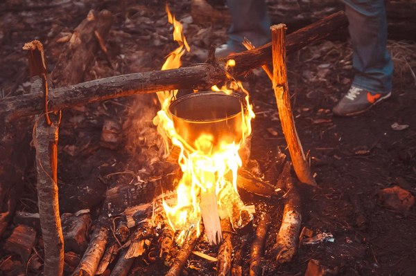 It's picnic time! - My, Picnic, Bonfire