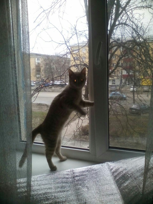    ! ,  , , 