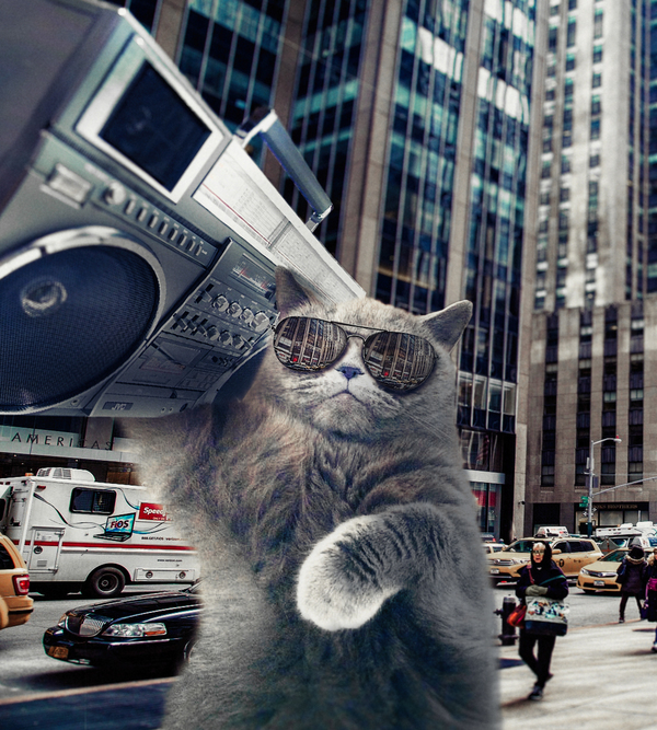 Just a cat - My, cat, Photoshop, Boombox