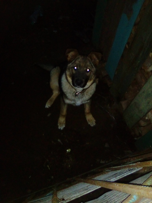 Очень зоркий малыш