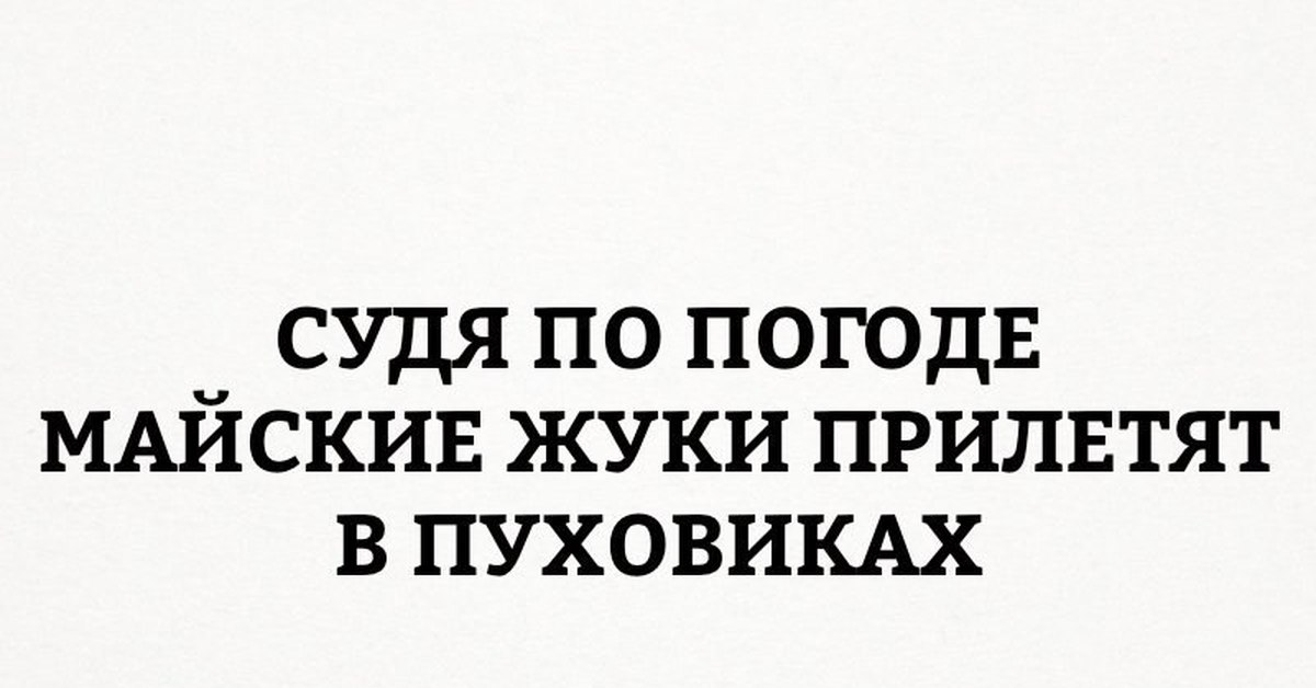 Майские жуки прилетят в пуховиках картинки