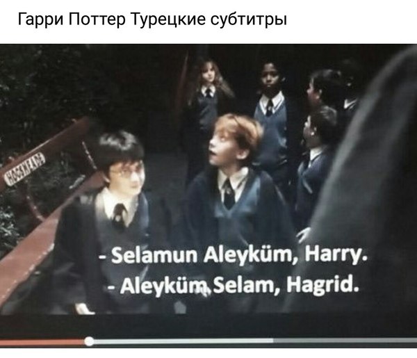 Harry Potter Turkish subtitles - My, , Harry Potter, Humor, , Comedy, Turkey, Joke, Sarcasm