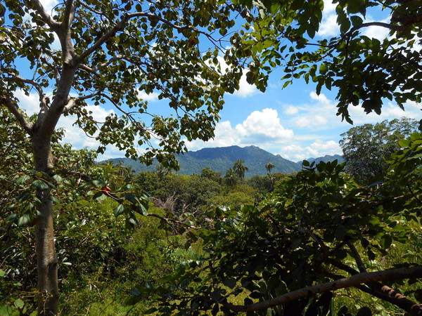 O. Sri Lanka, center - My, The photo, Sri Lanka, View, Nature