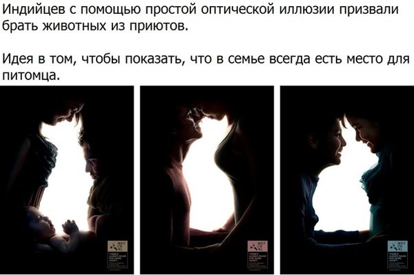 В семье всегда есть место для питомца