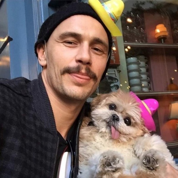 James Franco with 15 year old dog named Marnie - James Franco, Dog, , Animals, Actors and actresses, Celebrities, Shih Tzu, Milota