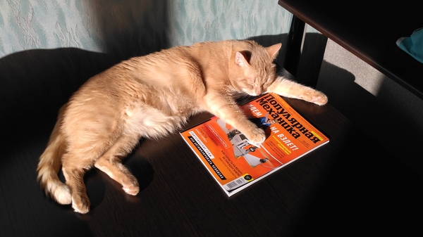 Koteykina mechanics - My, cat, Magazine, Popular mechanics