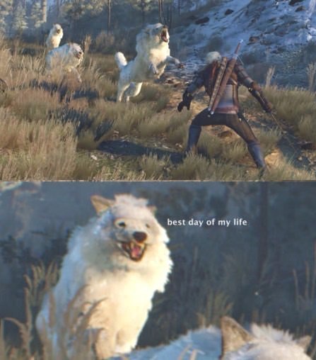 The best day of my life. - Witcher, Games, Wolf