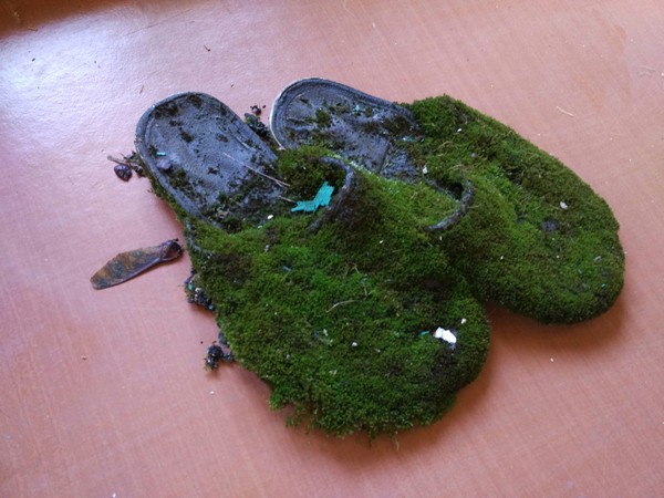 Slippers for guests) - My, Hospitality, Slippers
