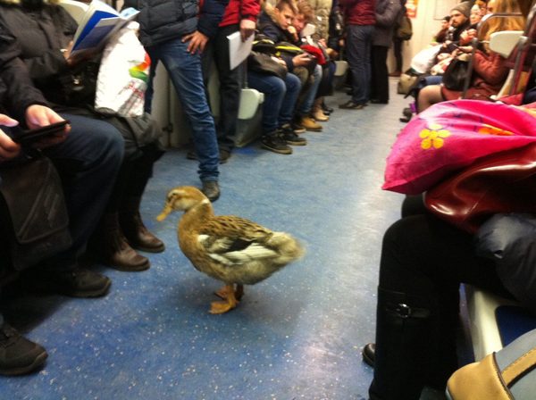 ������ ���� � ��������� �����