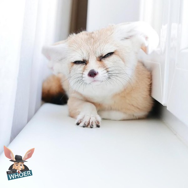 Подозрение^^