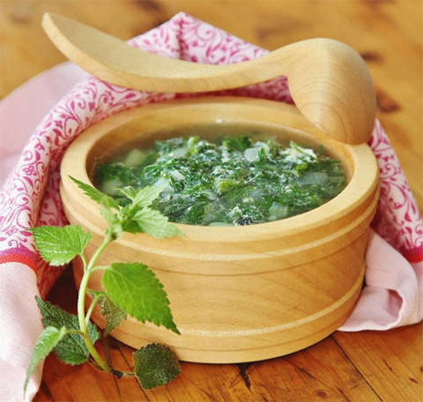 Spring cabbage soup from sorrel and nettle - simple and tasty, fragrant first course - My, Sorrel, Nettle, , , Longpost, Text